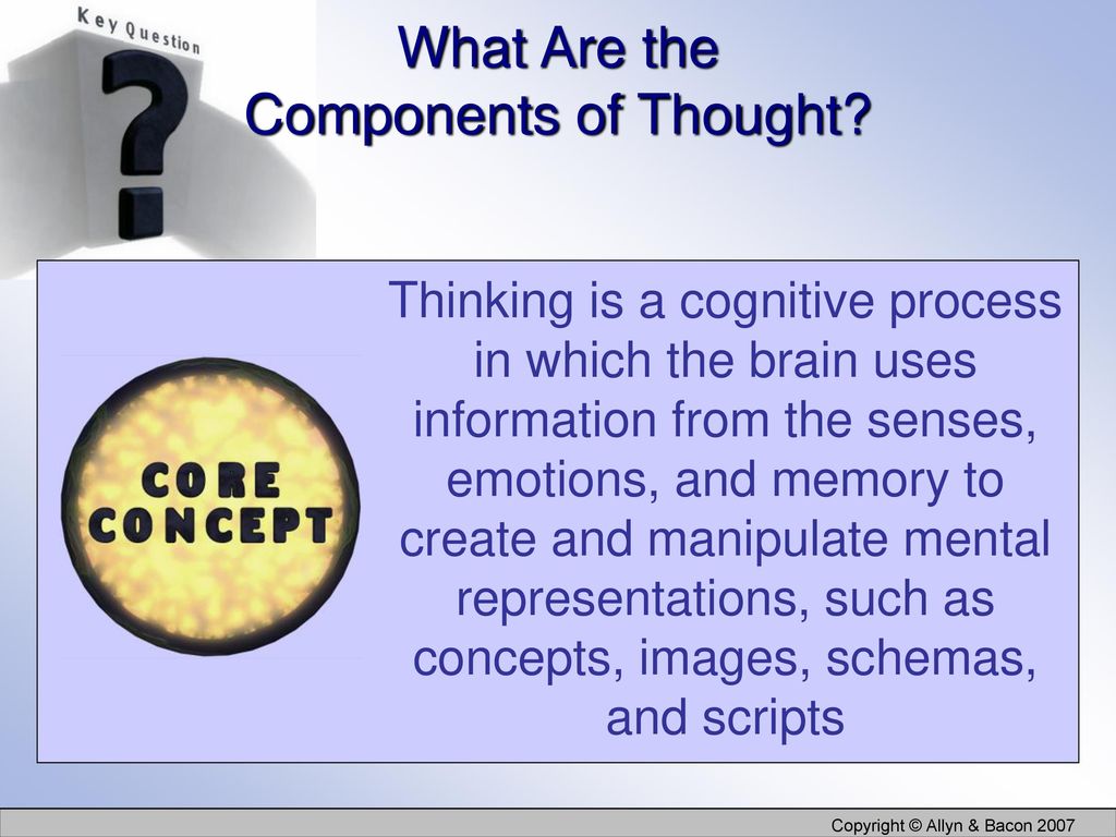 What Are the Components of Thought
