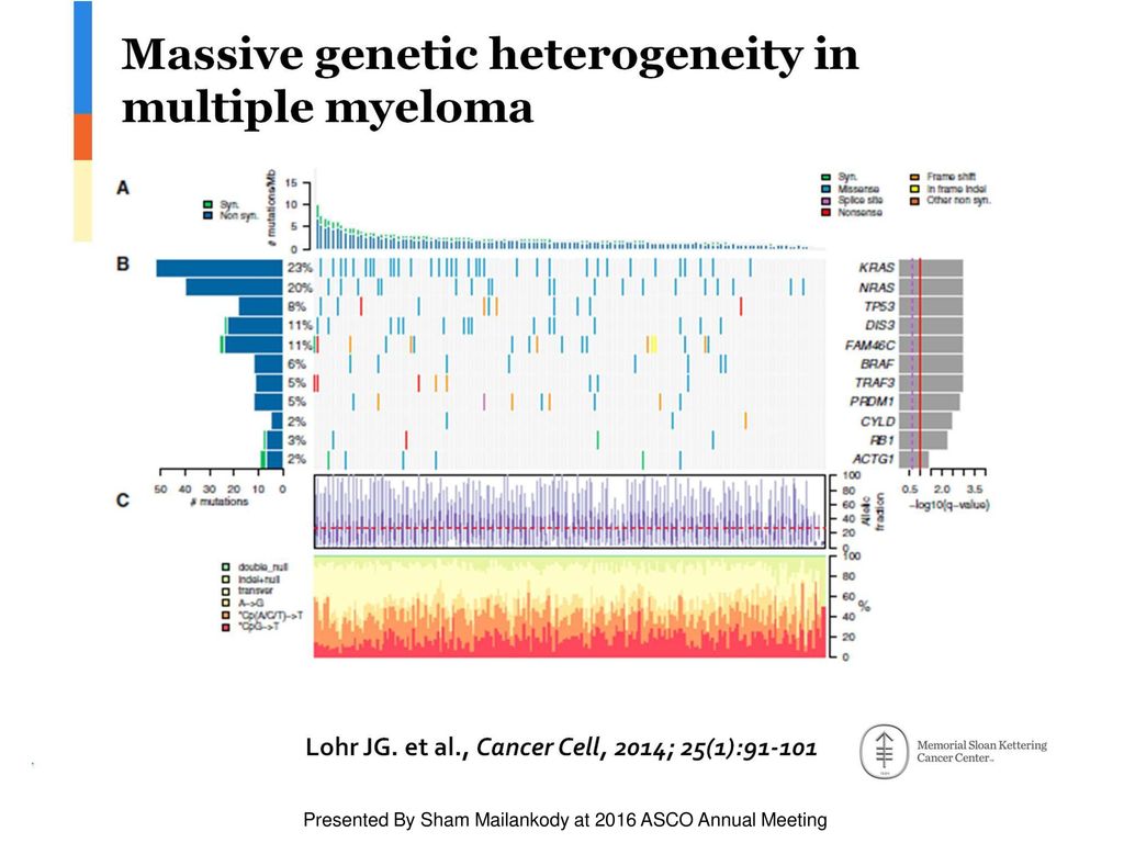 Massive genetic heterogeneity in <br />multiple myeloma