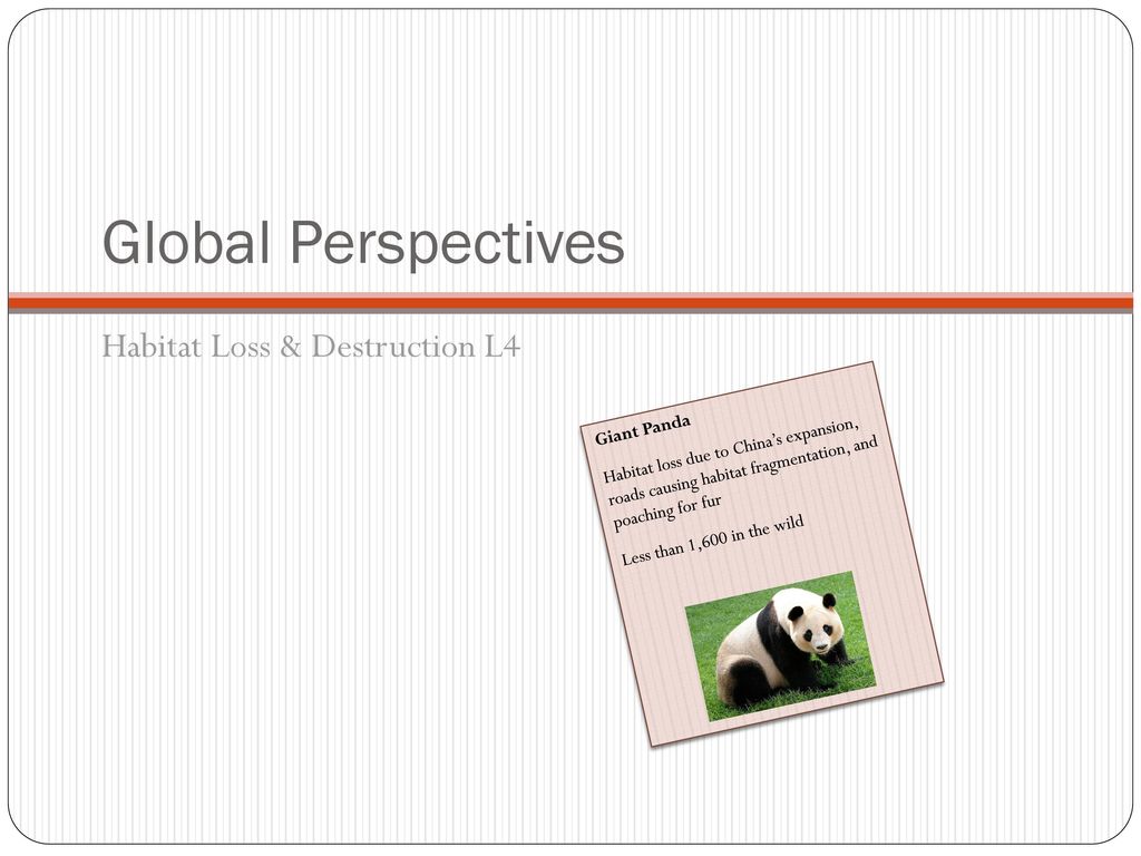 Global Perspectives Habitat Loss & Destruction L4 Giant Panda - ppt