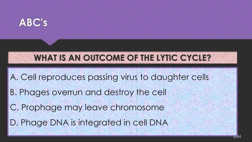 WHAT IS AN OUTCOME OF THE LYTIC CYCLE