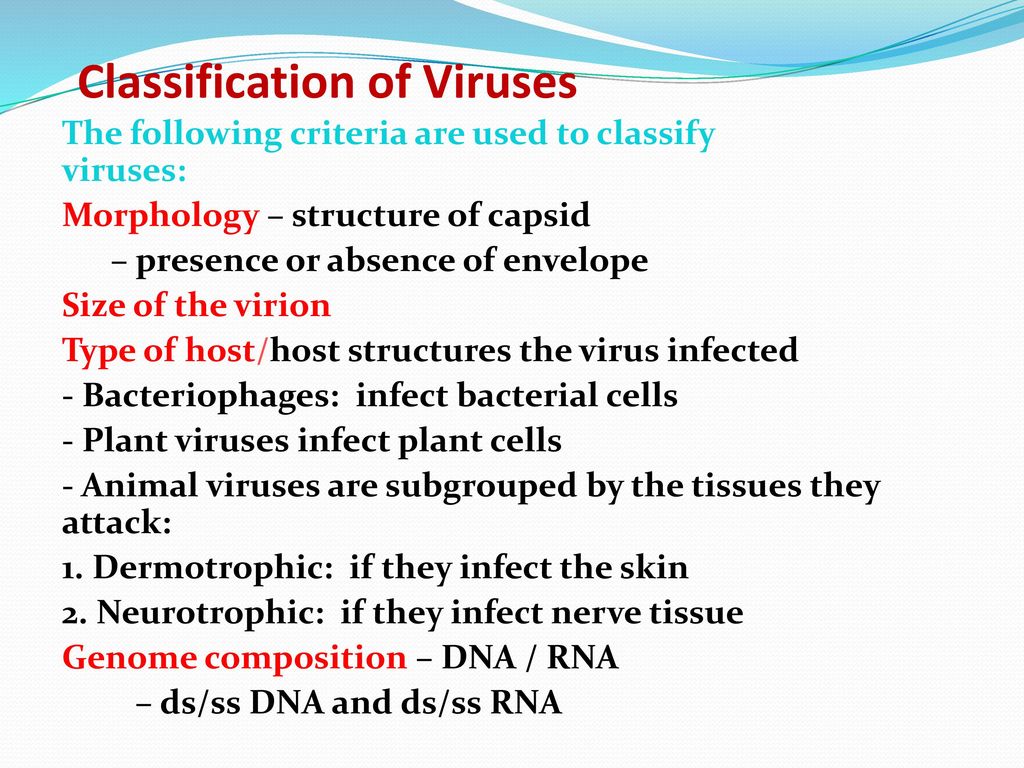 Types of viruses. Classification of viruses. Классификация Балтимора вирусы. Classification of Computer viruses кратко. Kinds of viruses.