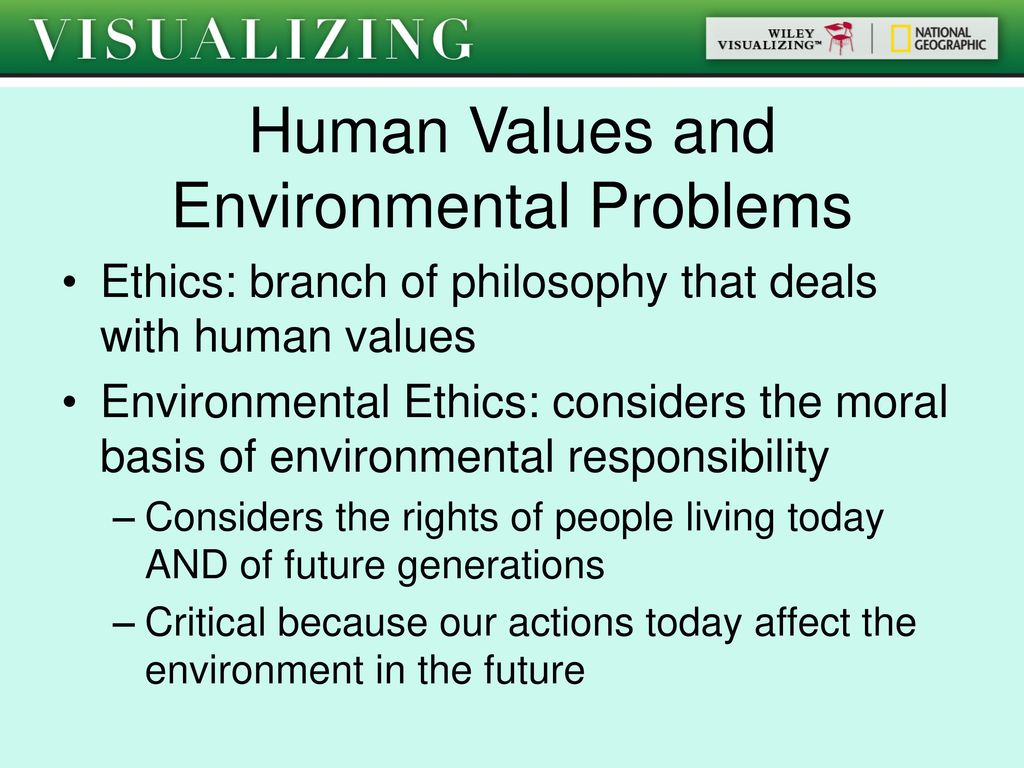 Environment value