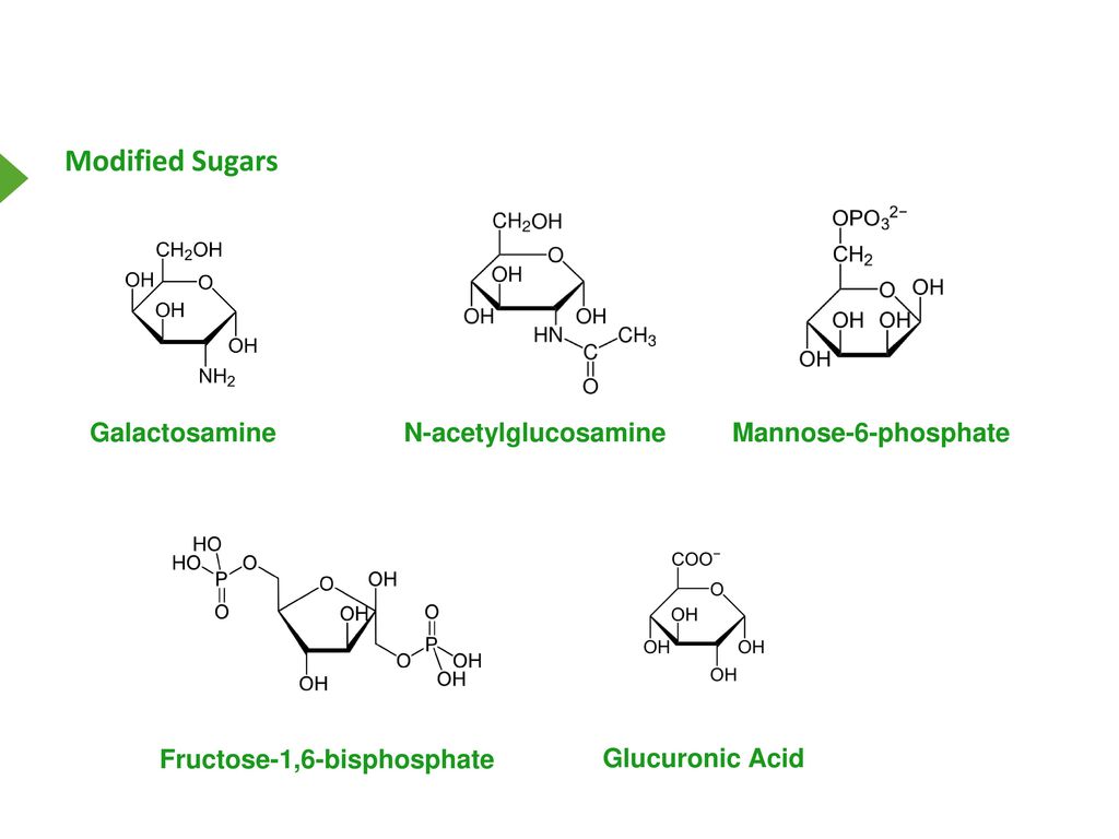 Fructose-1,6-bisphosphate