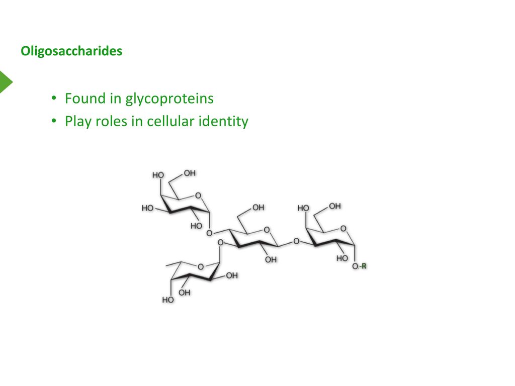 Found in glycoproteins Play roles in cellular identity
