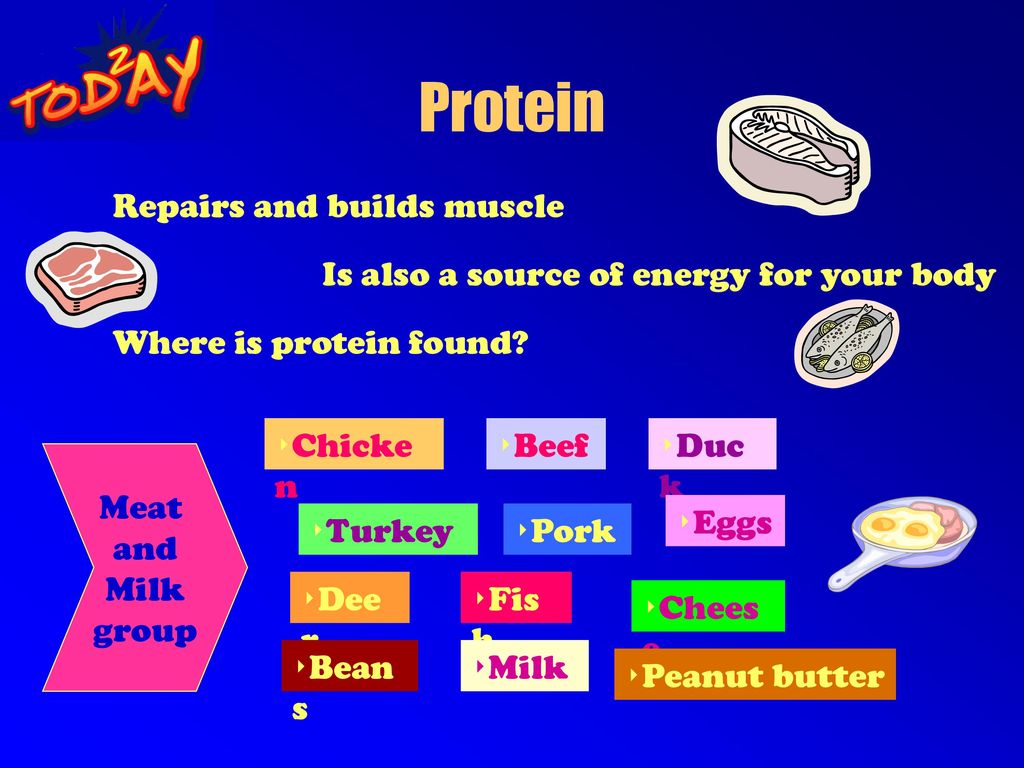 Protein Repairs and builds muscle