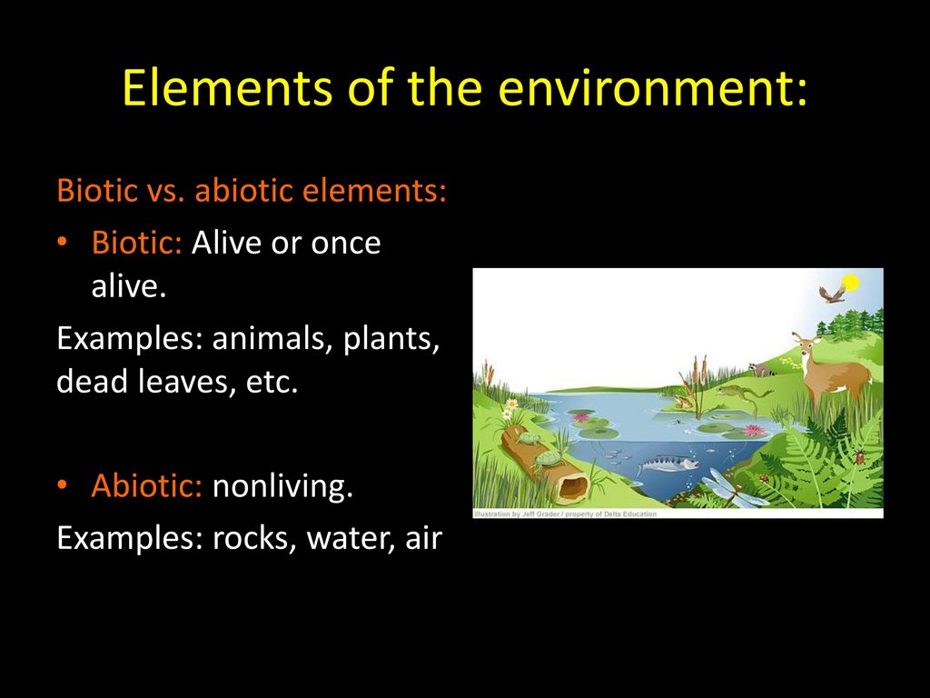 What are the 2 elements of the environment?
