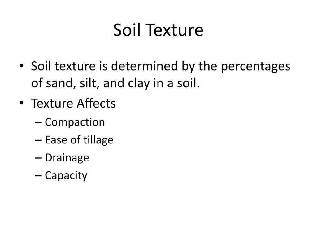 Soil Texture Soil texture is determined by the percentages of sand, silt, and clay in a soil. Texture Affects.