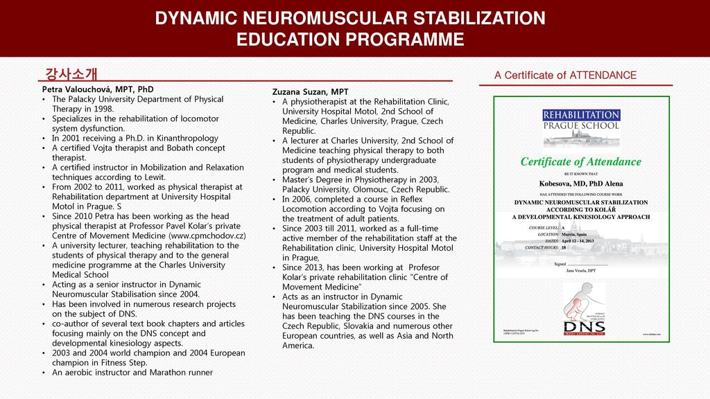 dynamic neuromuscular stabilization book