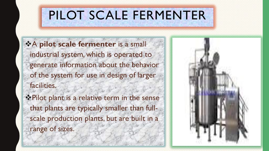 Scale of Fermentation process:- Large Scale, Small Scale & Pilot Scale  Fermentation Presented by: Neha Agrawal m.sc. 3rd sem. - ppt download