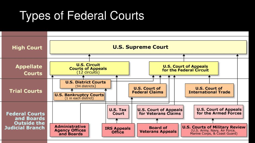 Judicial system. The Judicial System in the United States. Judicial System of the USA. Judicial System in uk. Judicial System in Russia схема.