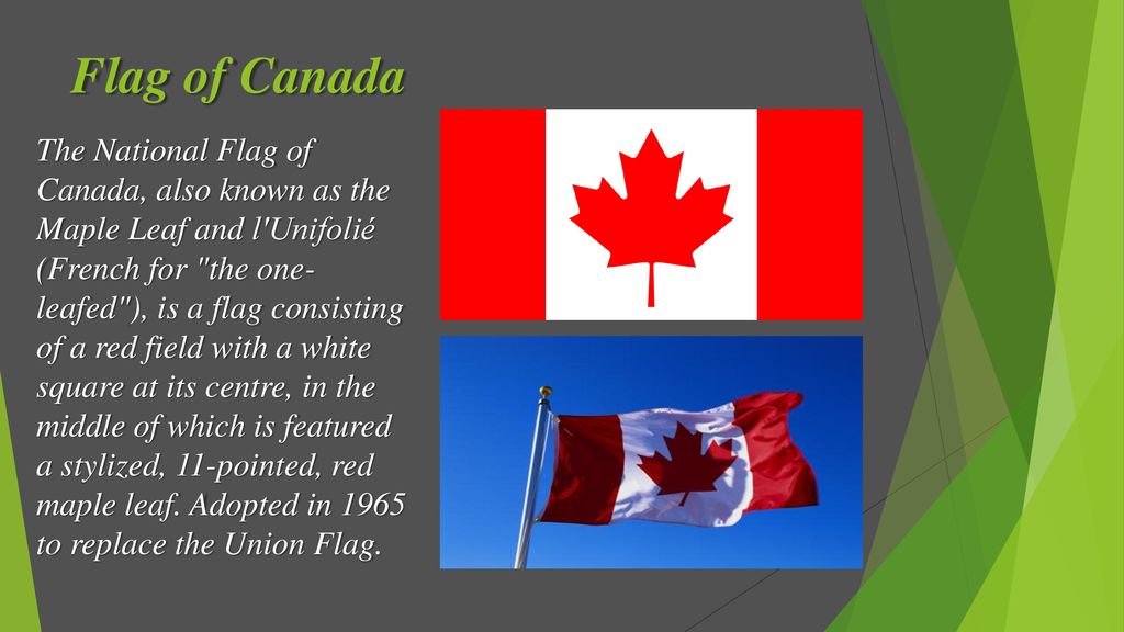 Rotary Youth Exchange Today's Categories Include… PotpourriGovernmentGeographyCapitals Canada & U.S. World Flags. - ppt download
