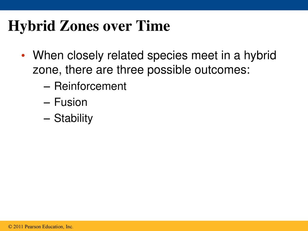 Hybrid Zones over Time When closely related species meet in a hybrid zone, there are three possible outcomes: