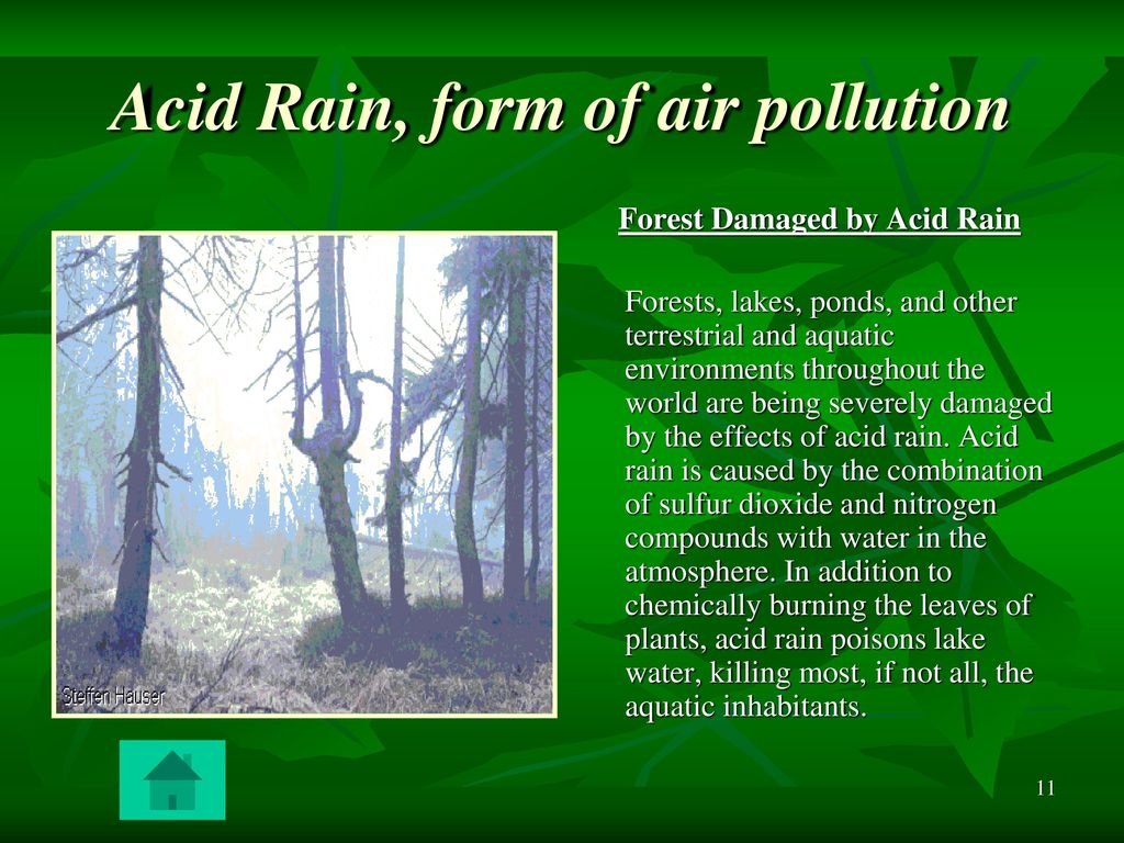 Воздух на английском языке. Acid Rain and Forest. Acid Rains презентация на англ. Air pollution acid Rain. Acid Rain текст.
