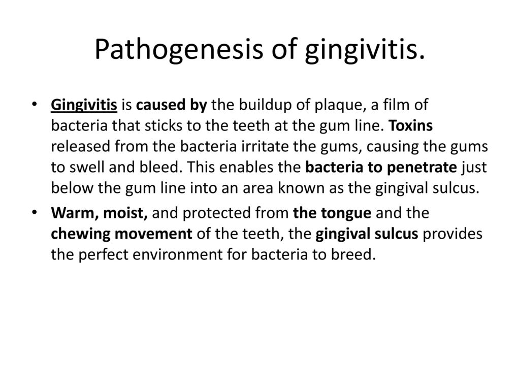 ENTAMOEBA GINGIVALIS Entamoeba Gingivalis Was Discovered In Ppt Download