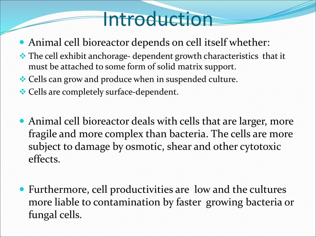 Animal Cell Bioreactor - ppt download