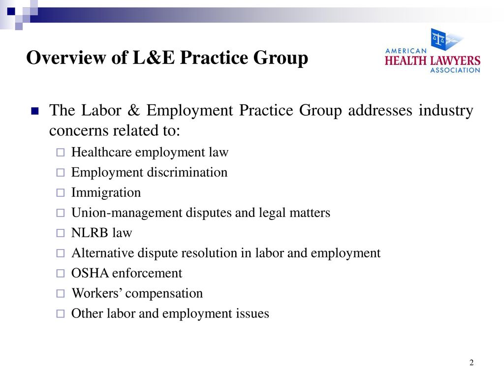 Overview of L&E Practice Group