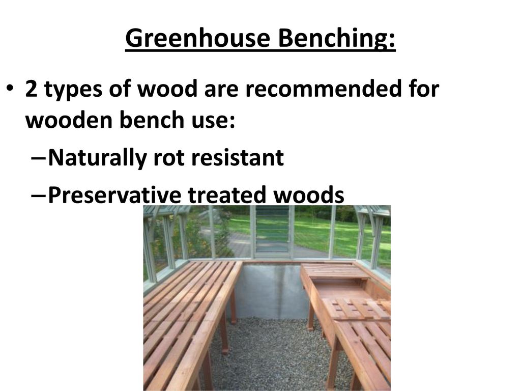 Chapter 19 Greenhouses And Other Growing Structures Ppt Download