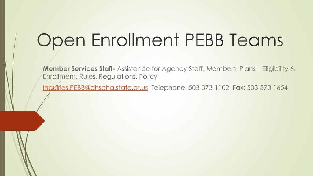Pebb Open Enrollment 2025 Ninon Ronica