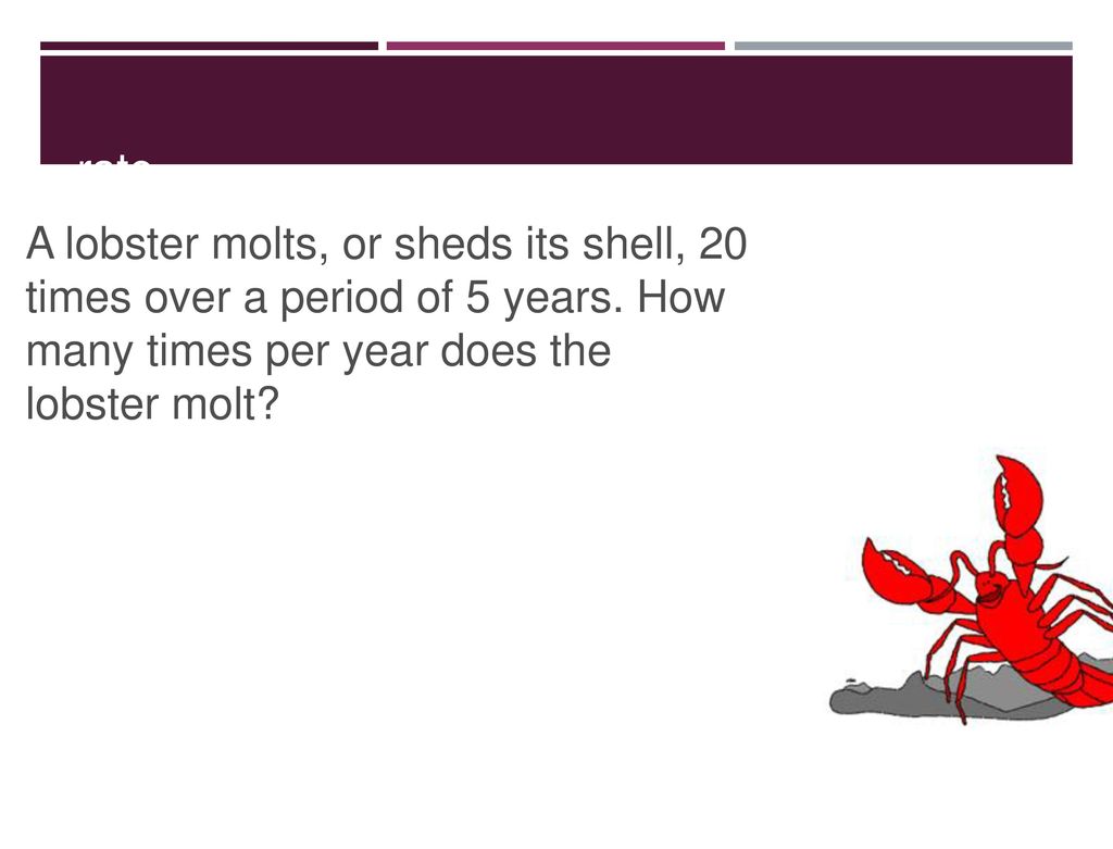 rate A lobster molts, or sheds its shell, 20 times over a period of 5 years.