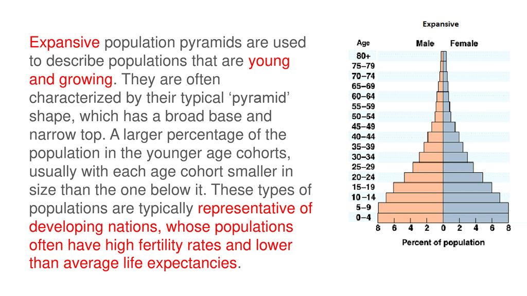 Human Population Pyramids - ppt download