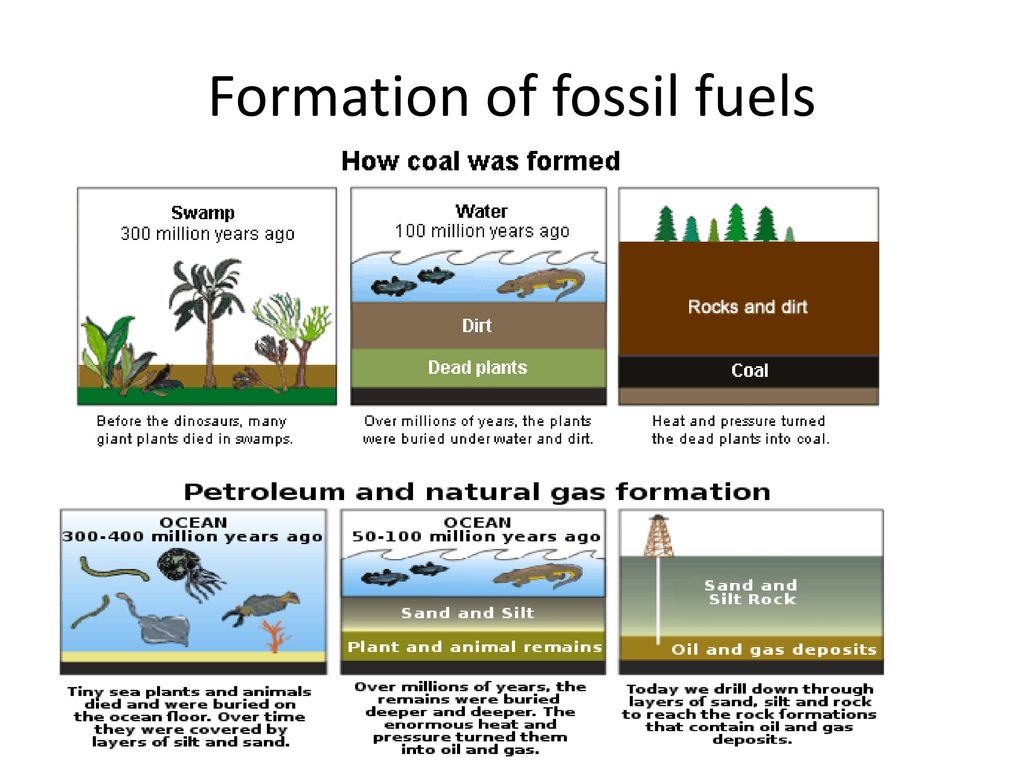 fossil fuels formation
