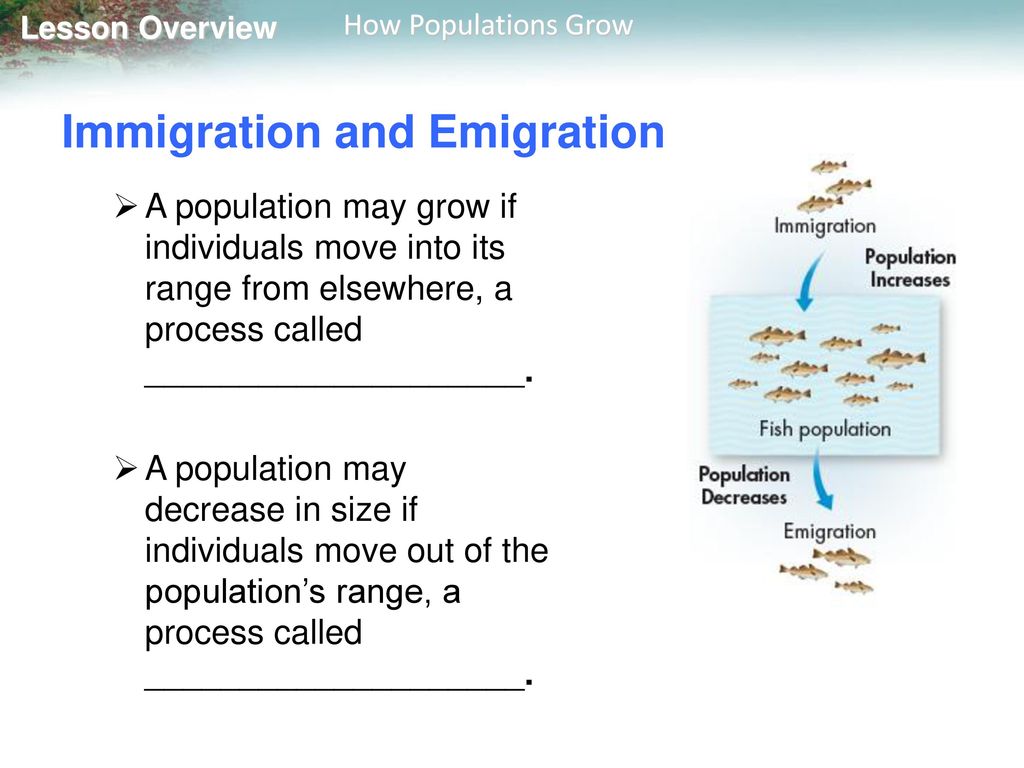 Lesson Overview 5 1 How Populations Grow Ppt Download lesson-overview-5-1-how-populations-grow-ppt-download