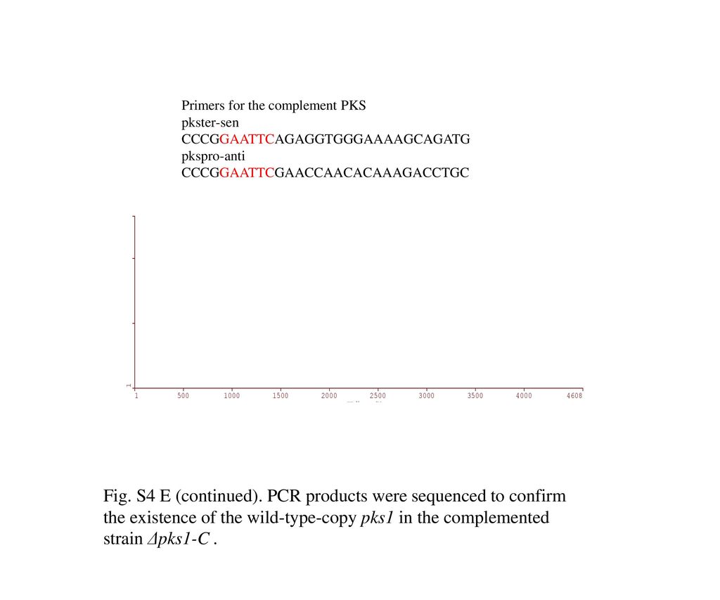 Primers for the complement PKS
