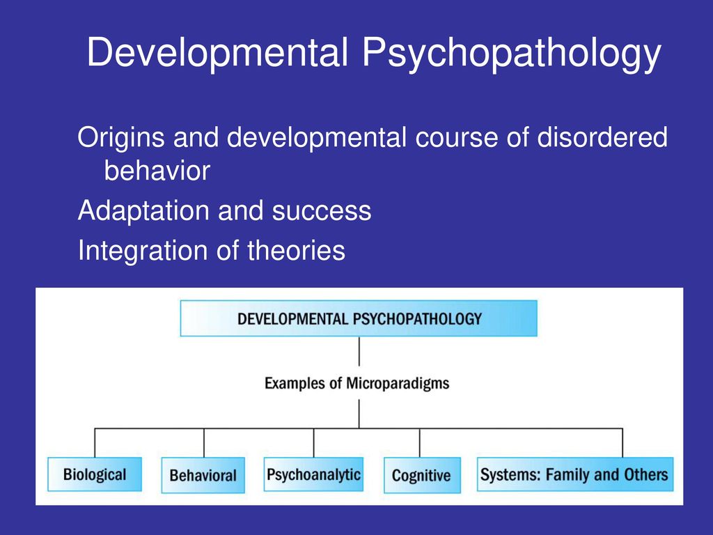 Developmental Psycopathology Model