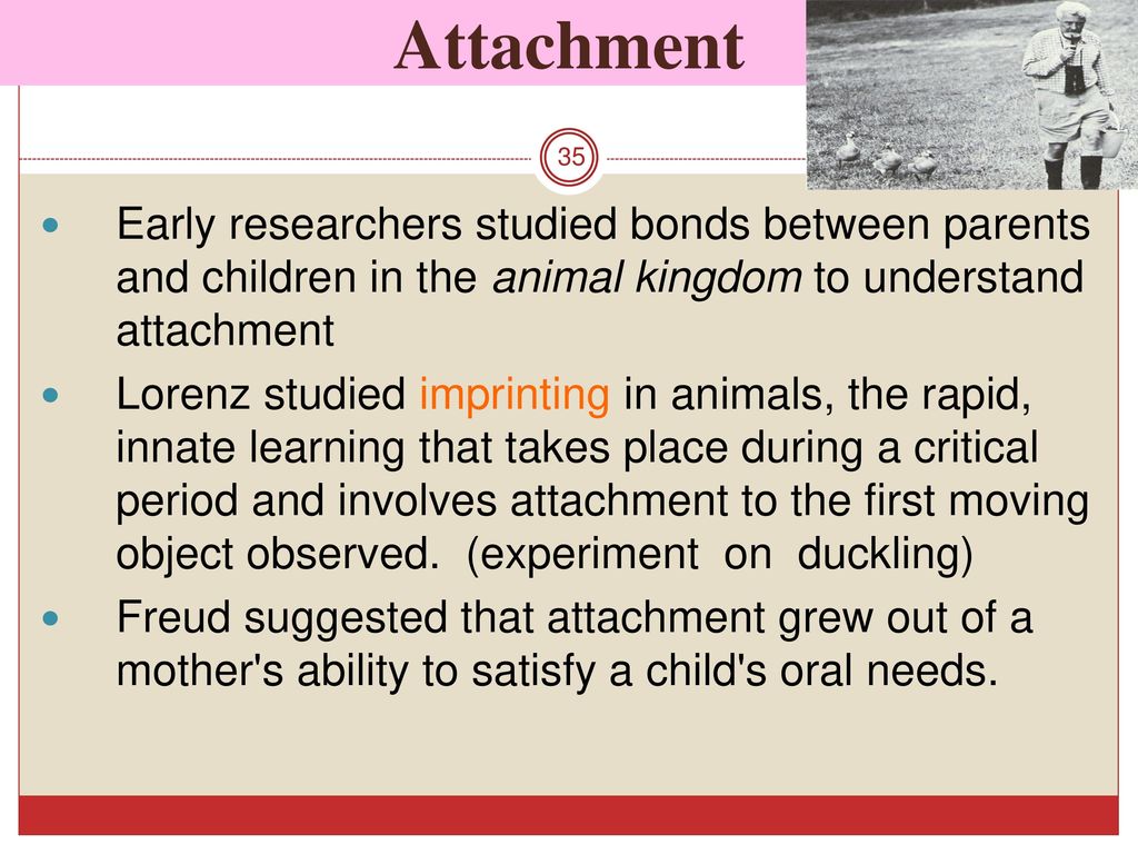Attachment Early researchers studied bonds between parents and children in the animal kingdom to understand attachment.