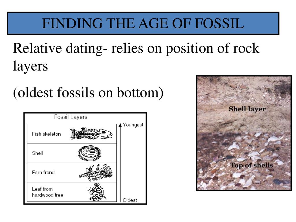 FINDING THE AGE OF FOSSIL