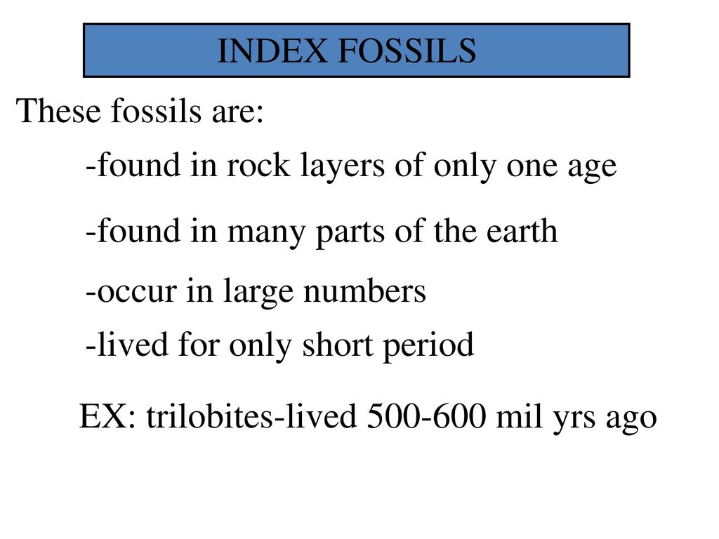INDEX FOSSILS These fossils are: -found in rock layers of only one age. -found in many parts of the earth.