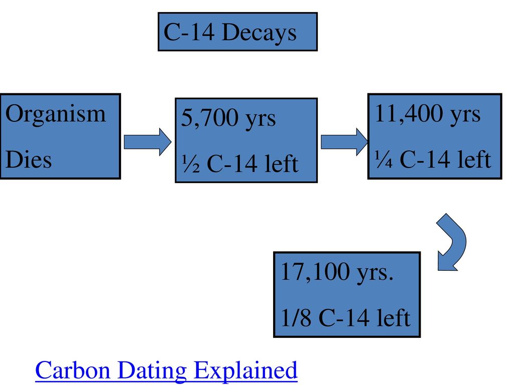 C-14 Decays Organism. Dies. 11,400 yrs. ¼ C-14 left. 5,700 yrs. ½ C-14 left. 17,100 yrs. 1/8 C-14 left.