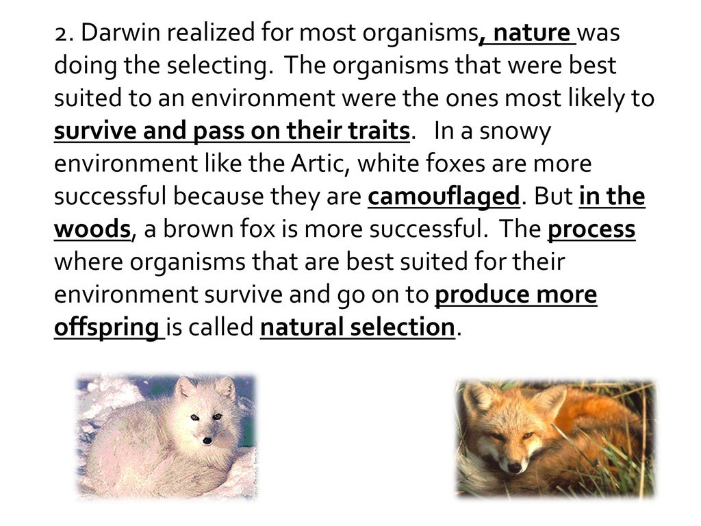 2. Darwin realized for most organisms, nature was doing the selecting