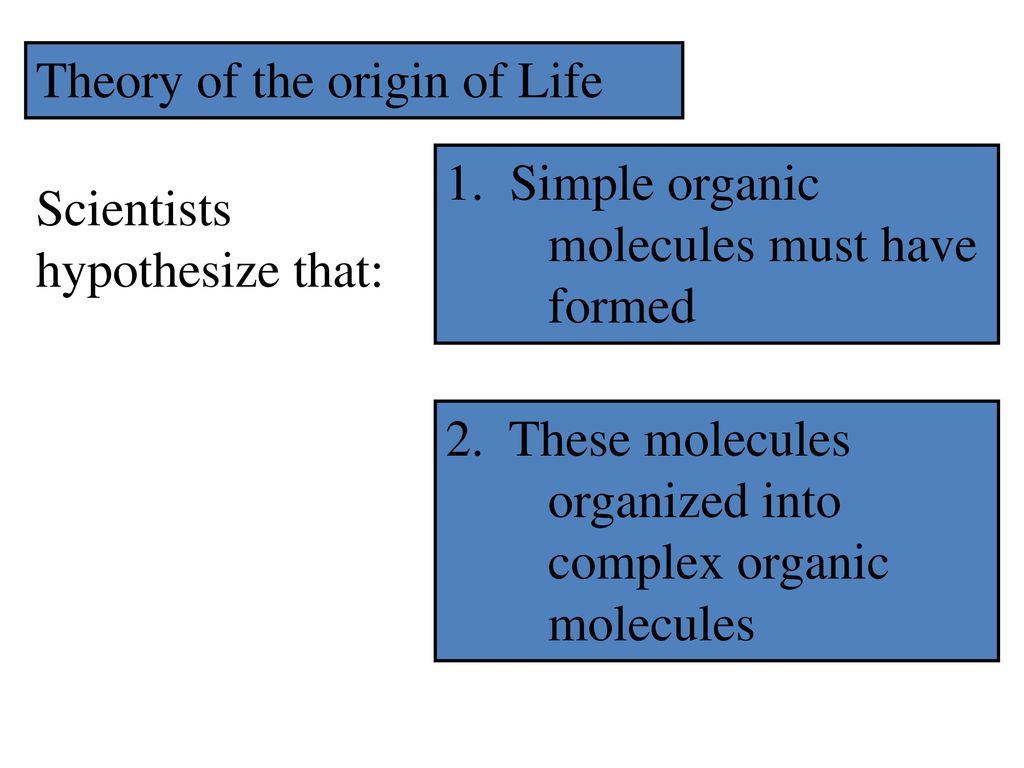 Theory of the origin of Life