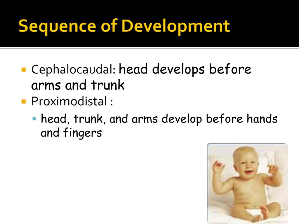 Early motor and verbal development ppt download