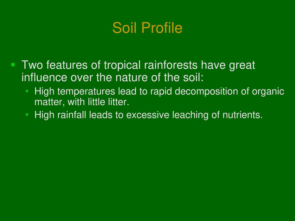 Soil Profile Two features of tropical rainforests have great influence over the nature of the soil: