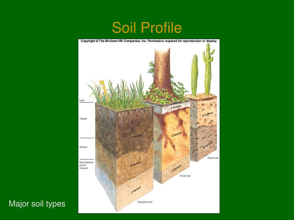 Soil Profile Major soil types
