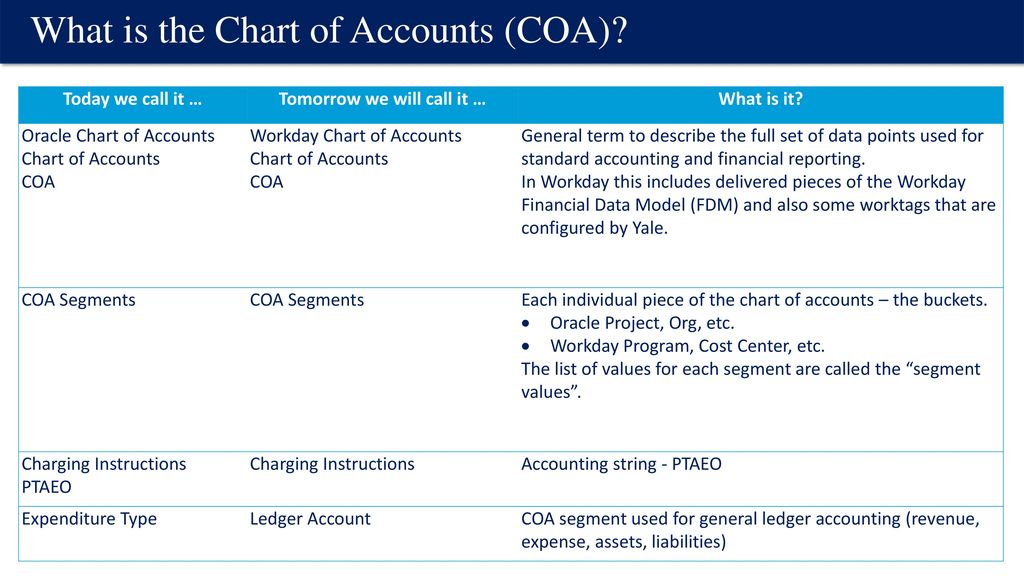 Workday Chart