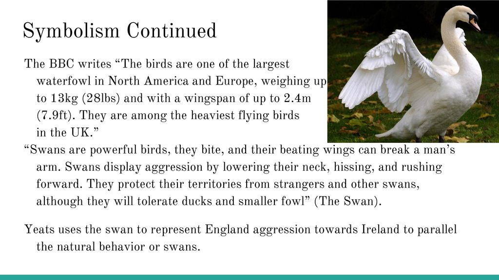 Leda and the Swan IOC Period 6 Matheny. - ppt download