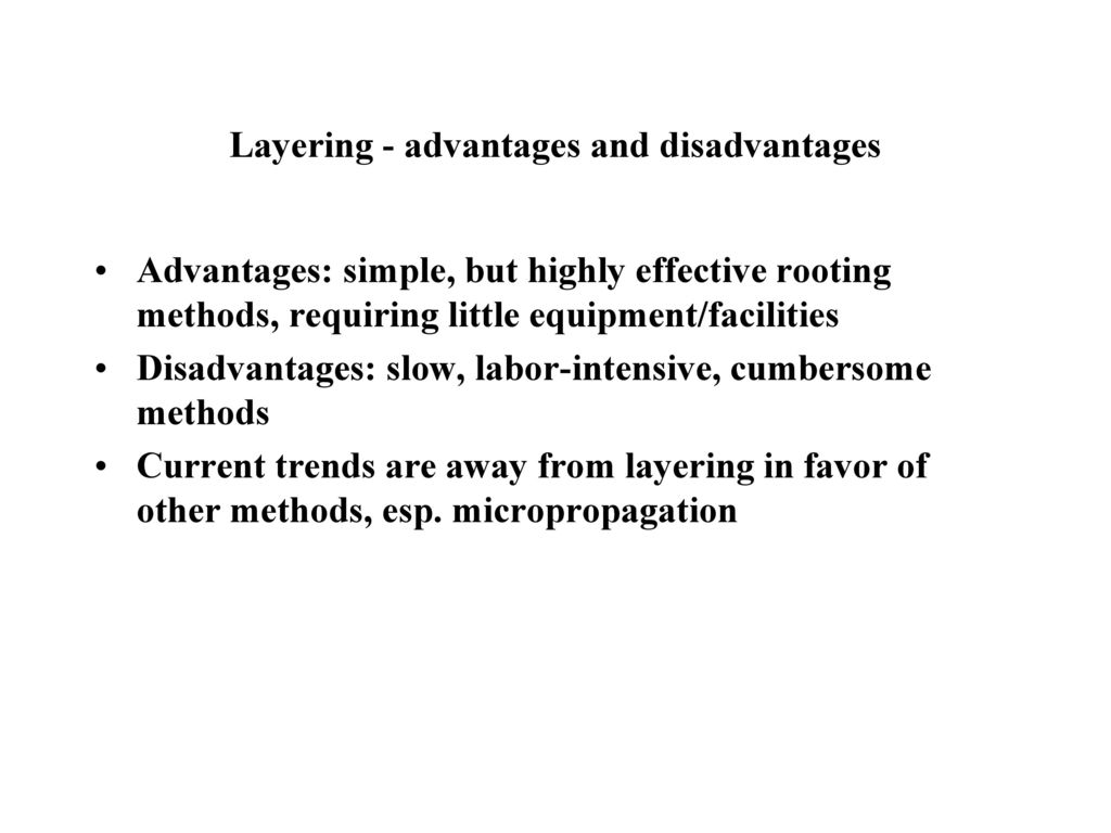 layering definition: a propagation method by which stems are rooted