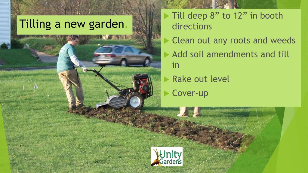 Putting Your Garden To Bed Ppt Download