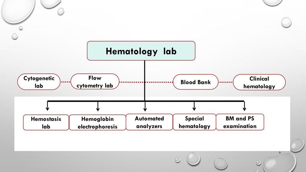 Hematology Flow Chart