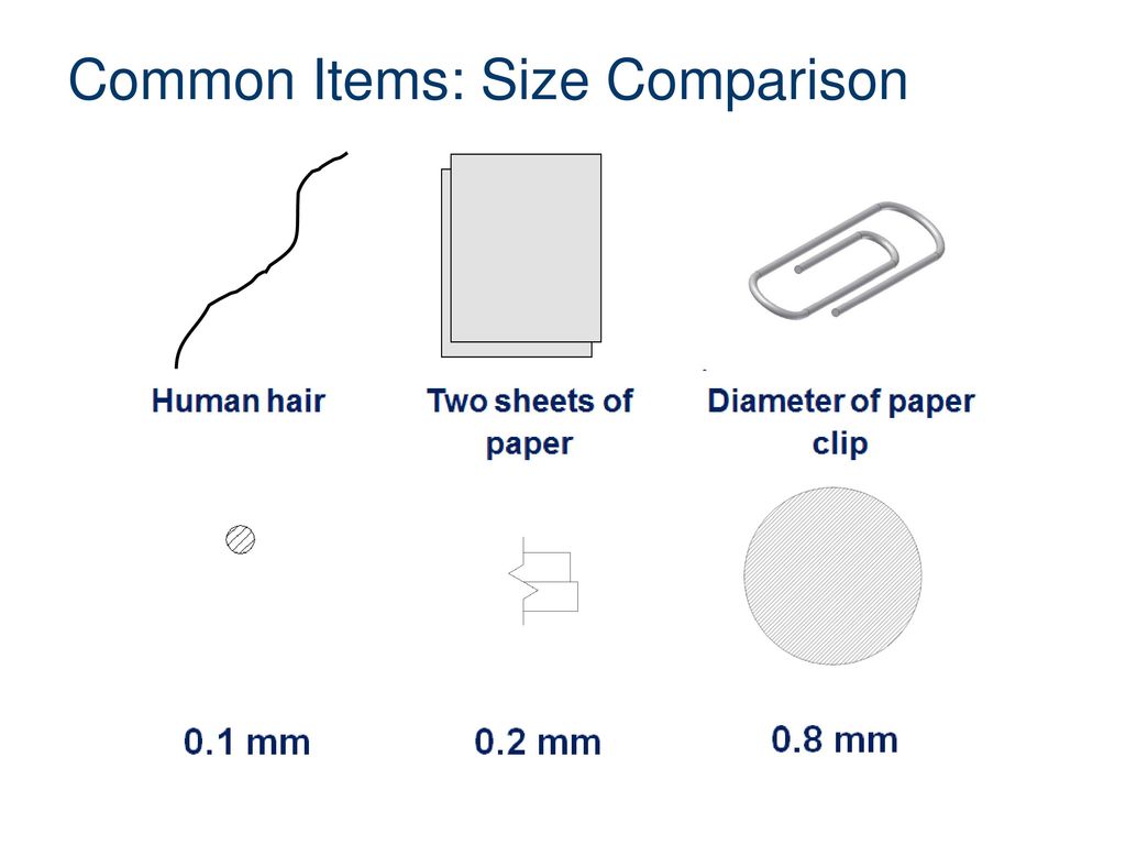 Common Items: Size Comparison