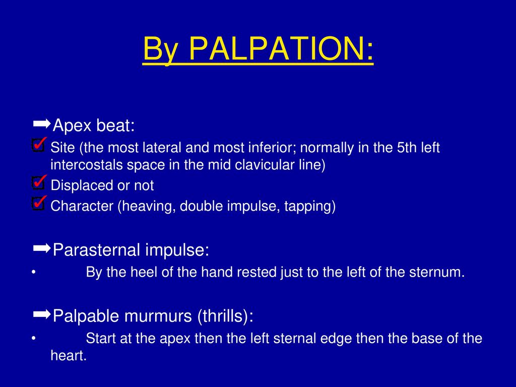 Cardiac Exam Inspection Palpation Percussion Auscultation - ppt download