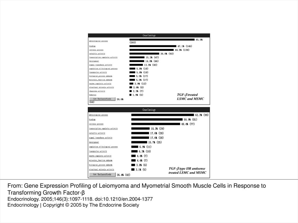 Fig. 3. Gene ontology assessment and division of genes identified in LSMC and MSMC in response to TGF-β treatment into similar functional categories illustrated as bar graphs, with the percentage of the total number of genes in each group shown in the front of each bar. A and B, Gene ontology assessment for LSMC and MSMC treated with TGF-β (A) and pretreatment with TGF-βRII antisense (B) for 24 h, followed by TGF-β treatment as indicated in Materials and Methods.