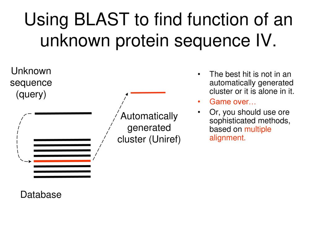 Similarity searching and the BLAST algorithm - ppt download