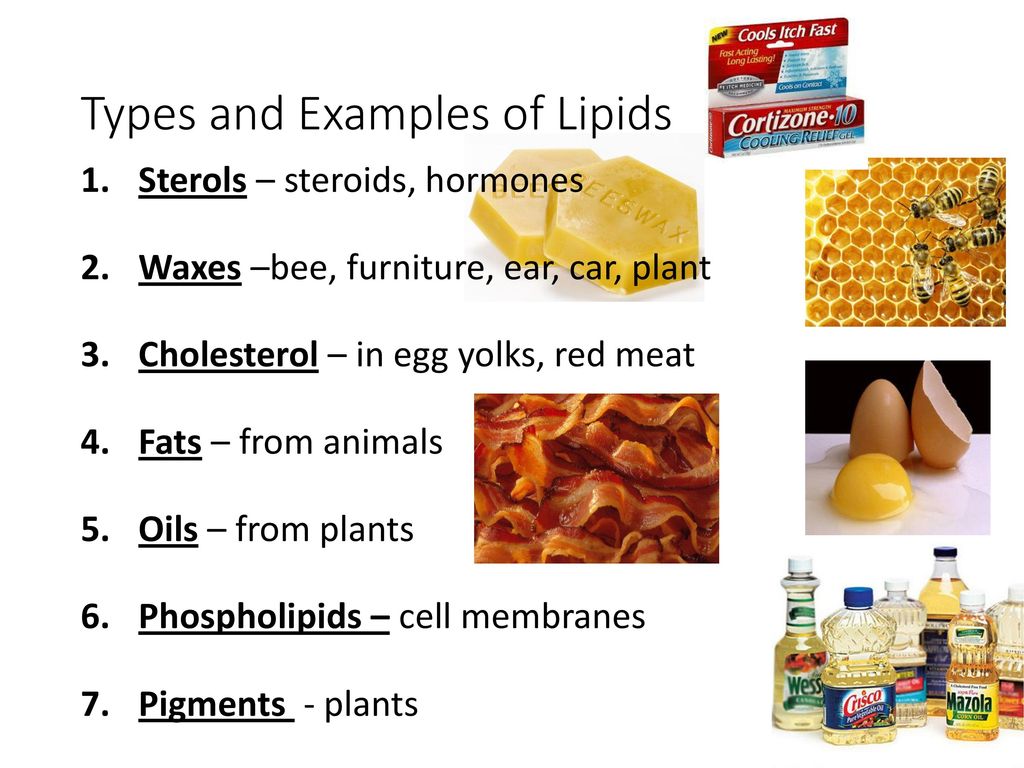 biochemistry: lipids. - ppt download