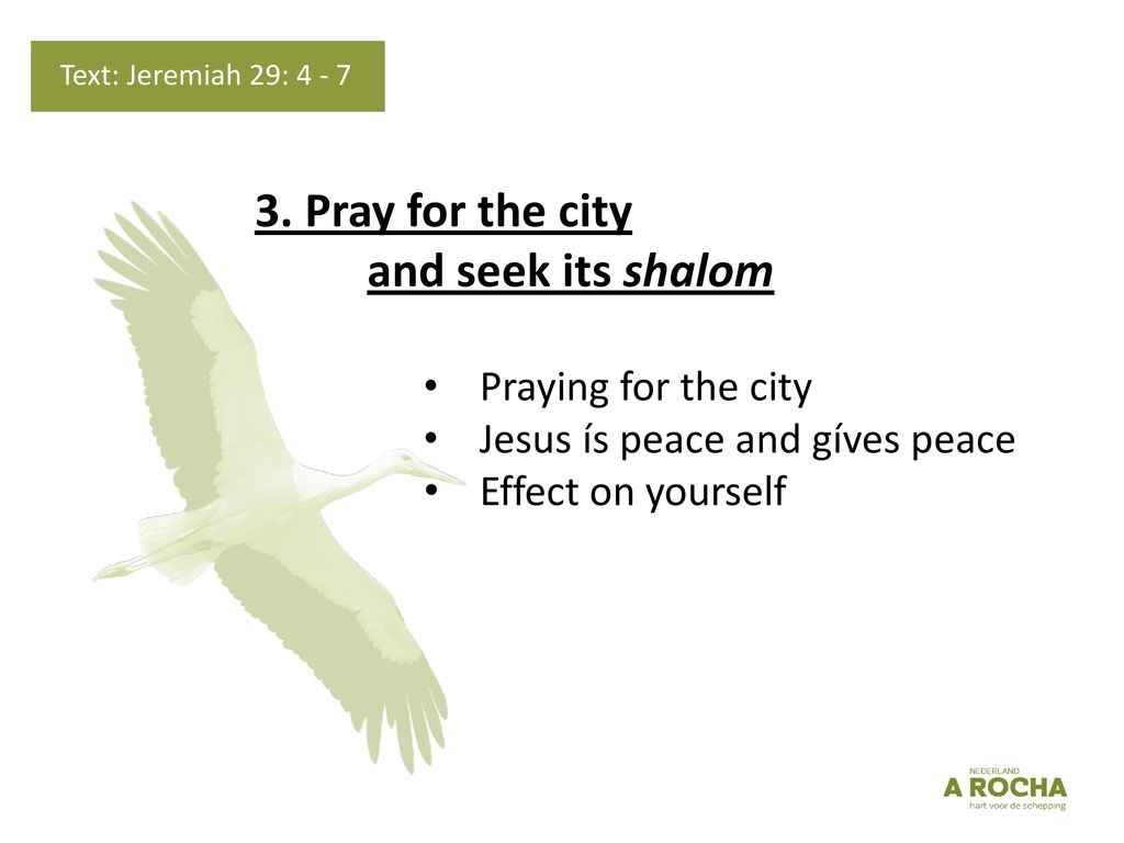 3. Pray for the city and seek its shalom Praying for the city