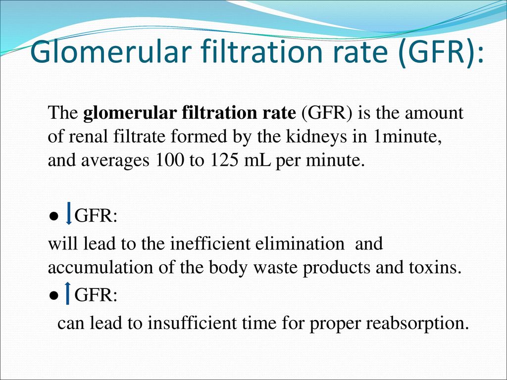 The kidneys and formation of urine - ppt download