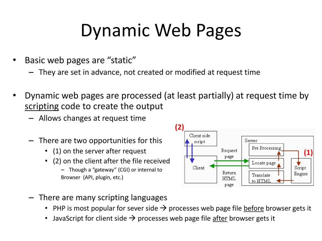 Dynamic Web Page: What is it & How to Create it?